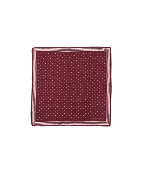 Burgundy Pocket Square with Classic White Polka Dots and Striped Border | He Spoke Style