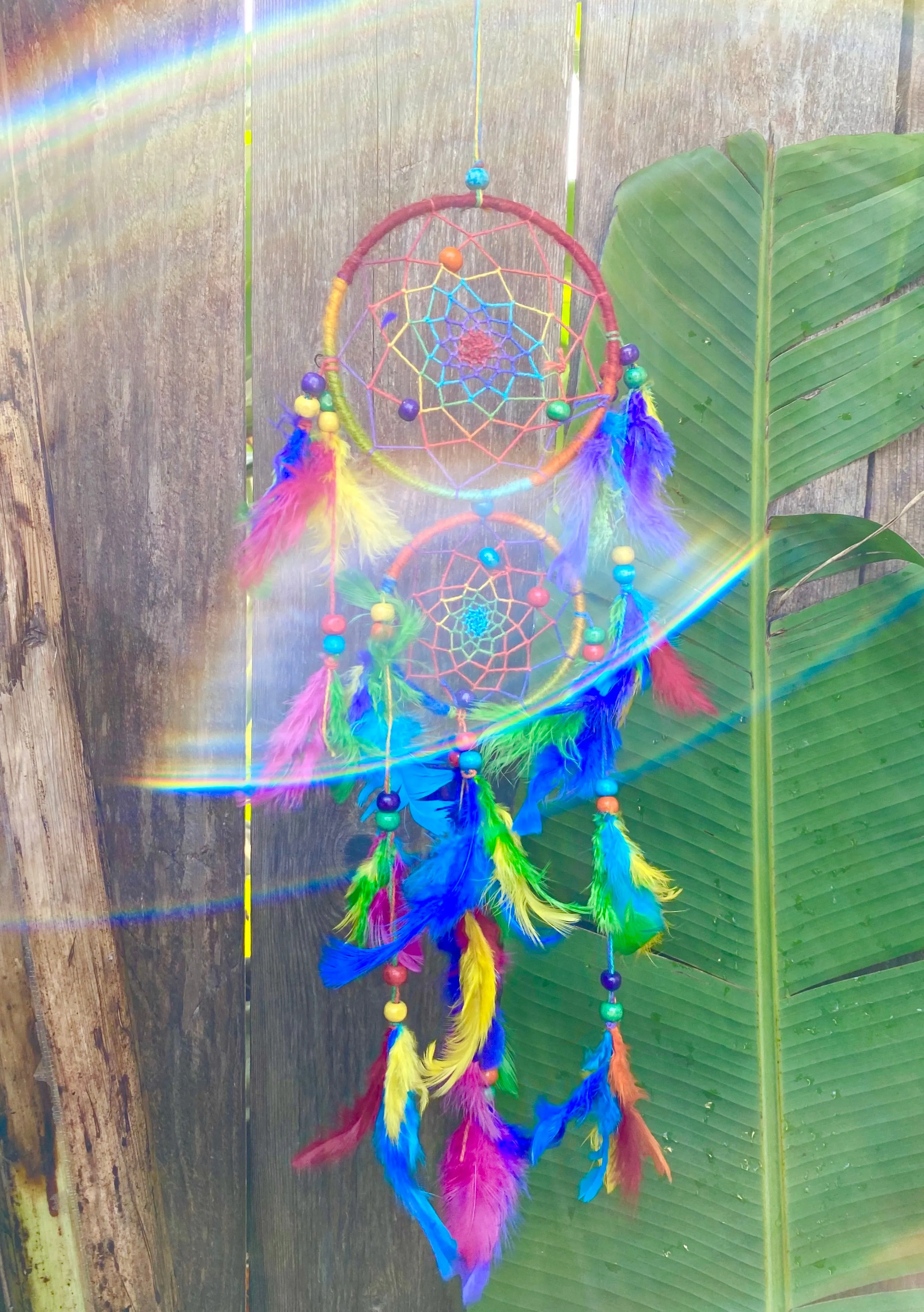 Double Dancing Dream Catcher