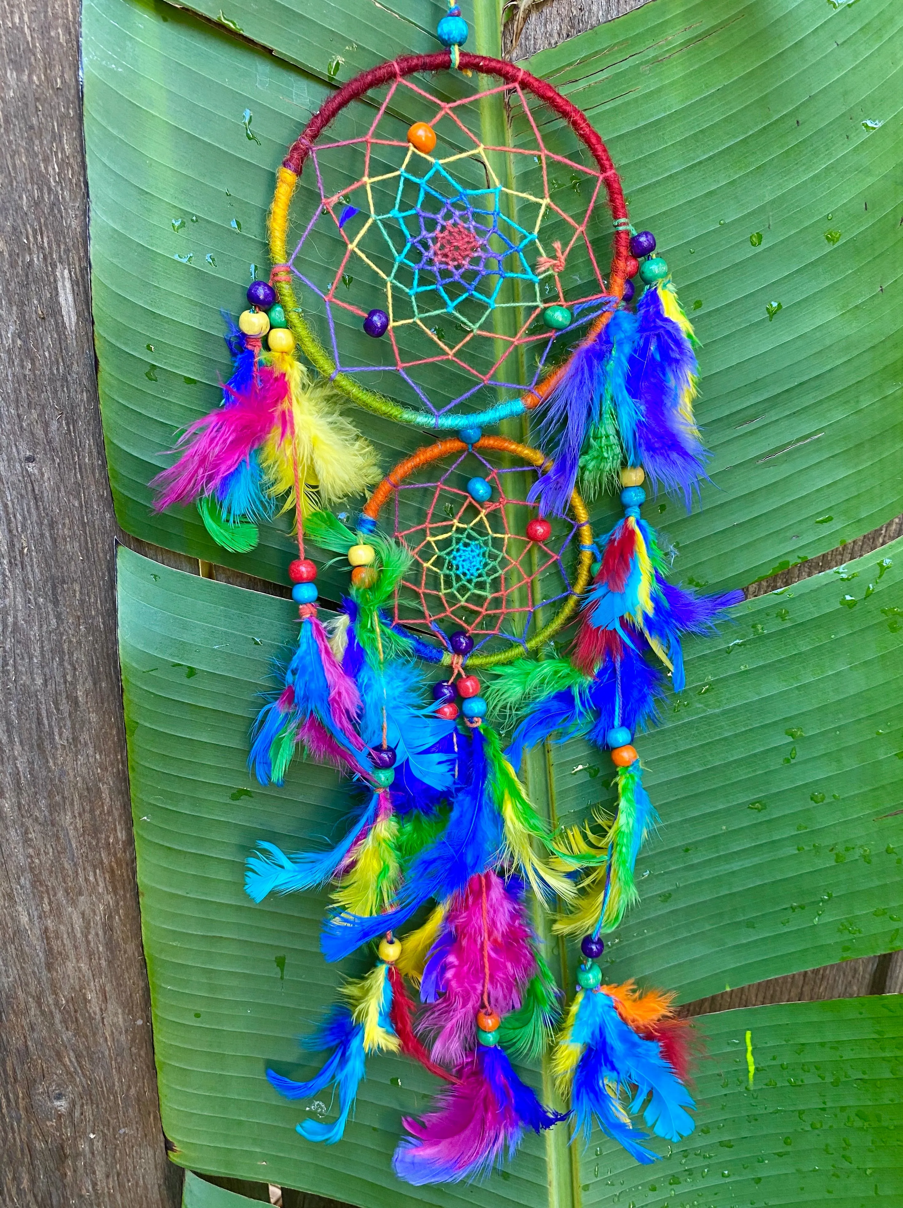 Double Dancing Dream Catcher