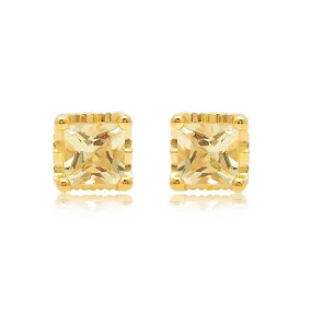 Jewelili 10K Yellow Gold with 1 CTTW Treated Yellow Princess Cut Diamonds with Natural Garnet Stud Earrings