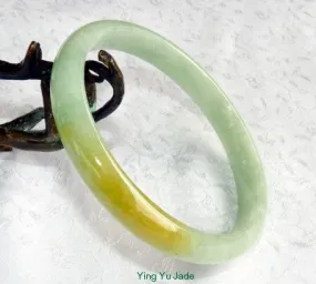 Large/Men's Kiss of Yellow Burmese Jadeite Jade Bangle Bracelet 72mm (BB2860)